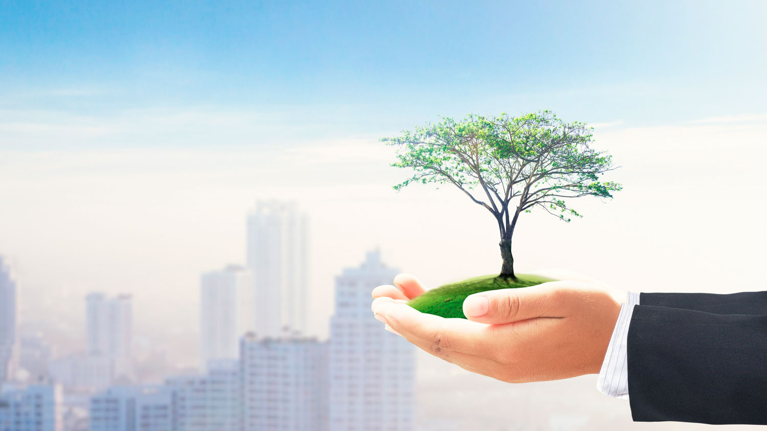 Evaluación Ambiental